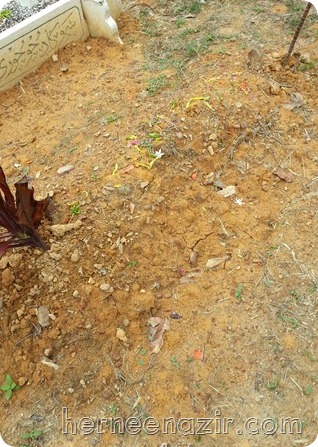 2013-08-08-11.15.49_thumb