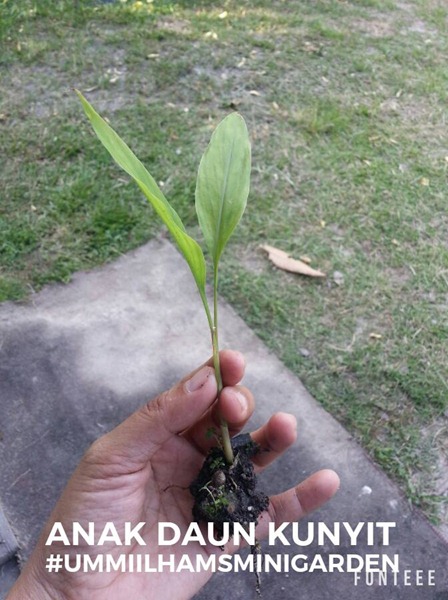 14448840_10209795625514992_3816446947364536232_n