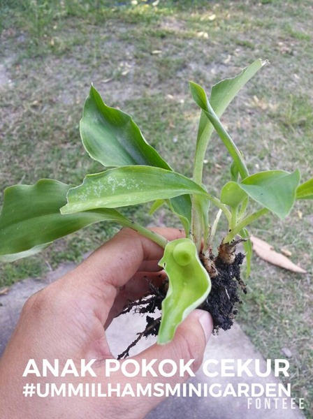 14449991_10209795625714997_6257362805866452216_n