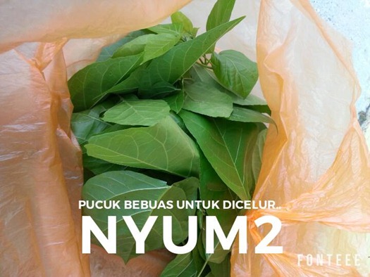 14462860_10209795627035030_30954305307487447_n