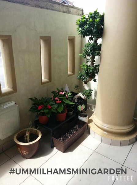 14484809_10209803344747968_8908563722927754028_n