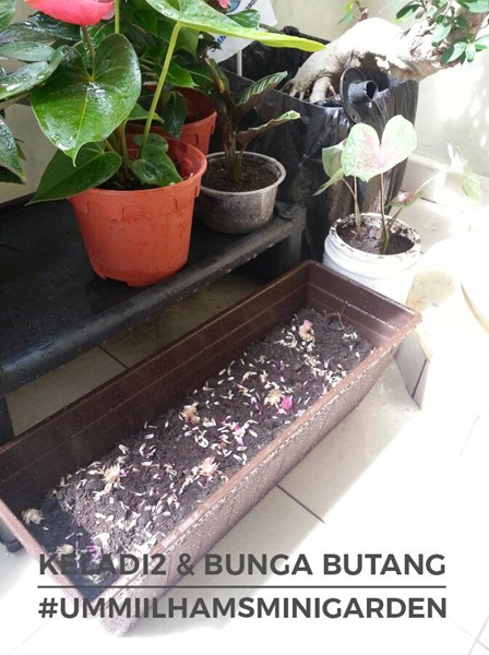 14519763_10209803343827945_8219498514607228935_n