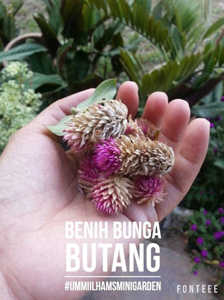 14522702_10209795626435015_7928050154430101468_n