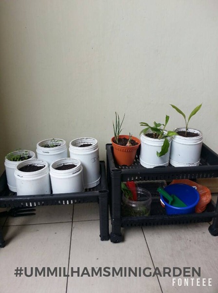 14581447_10209803344227955_1415762493451087910_n