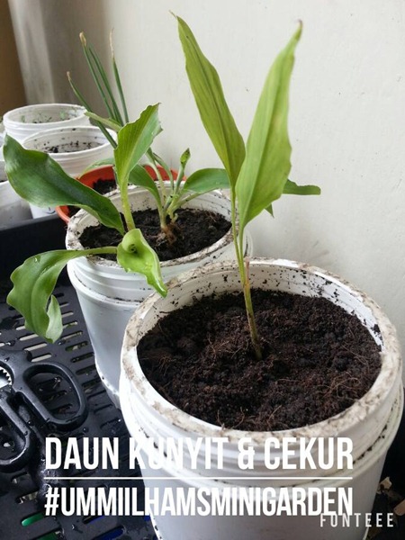 14590414_10209803343507937_1020149287668490711_n