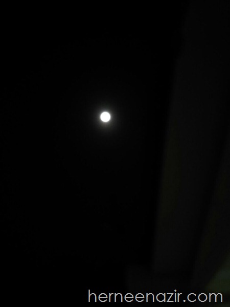 29029ab5-0084-4180-b01a-3e415044ccc6