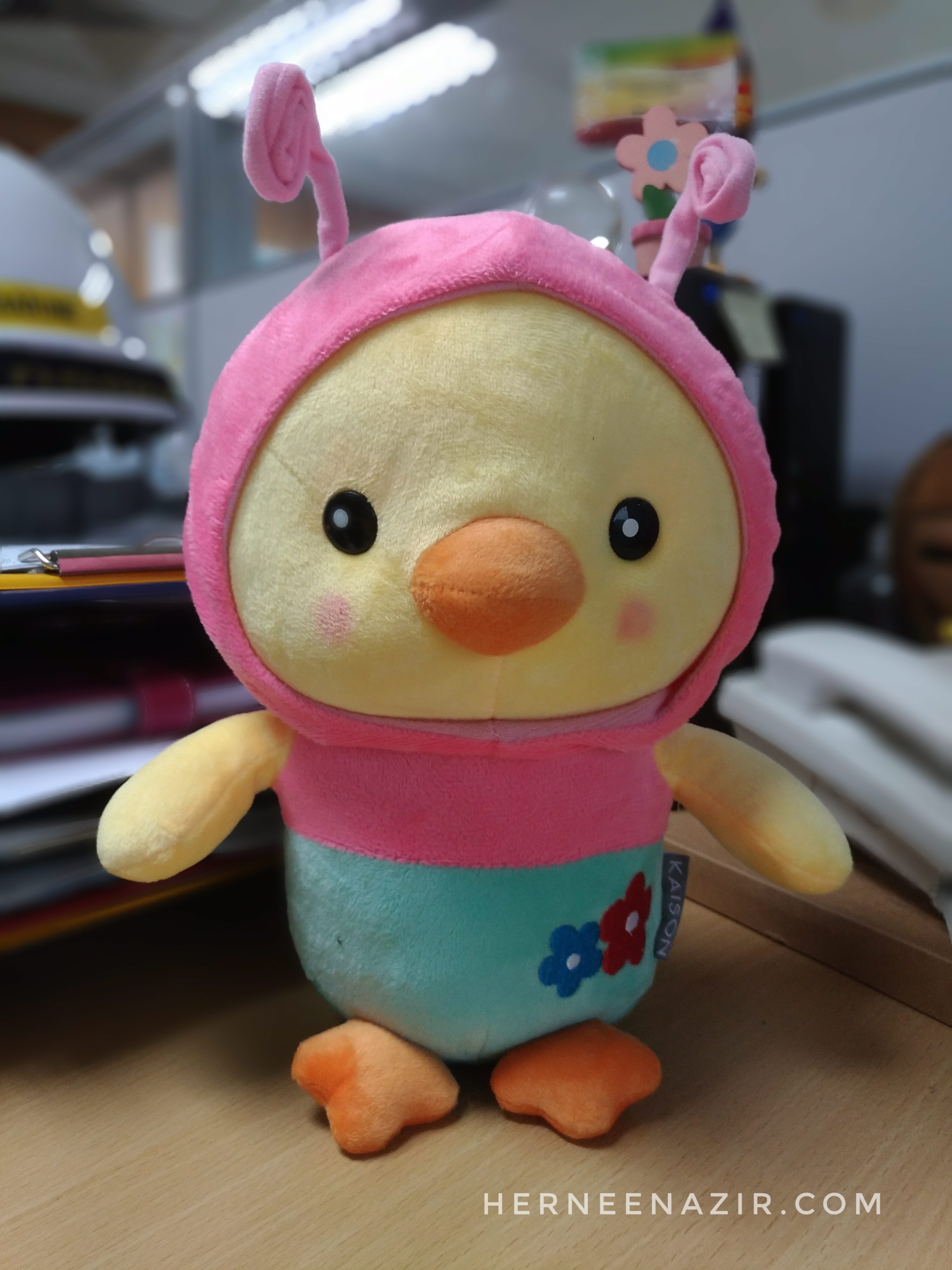 P_20170731_084054_DF-01.jpeg