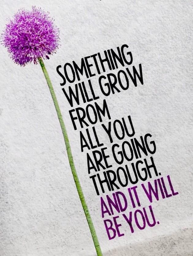 quotes strenght.jpg