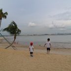 Main Pasir Di Forest City