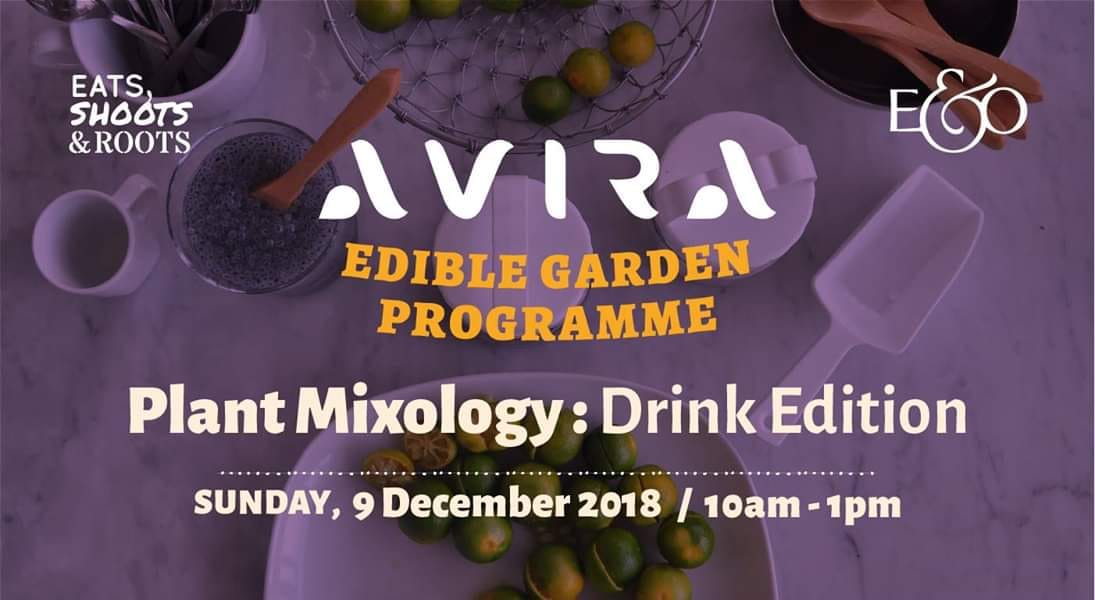 edible garden program