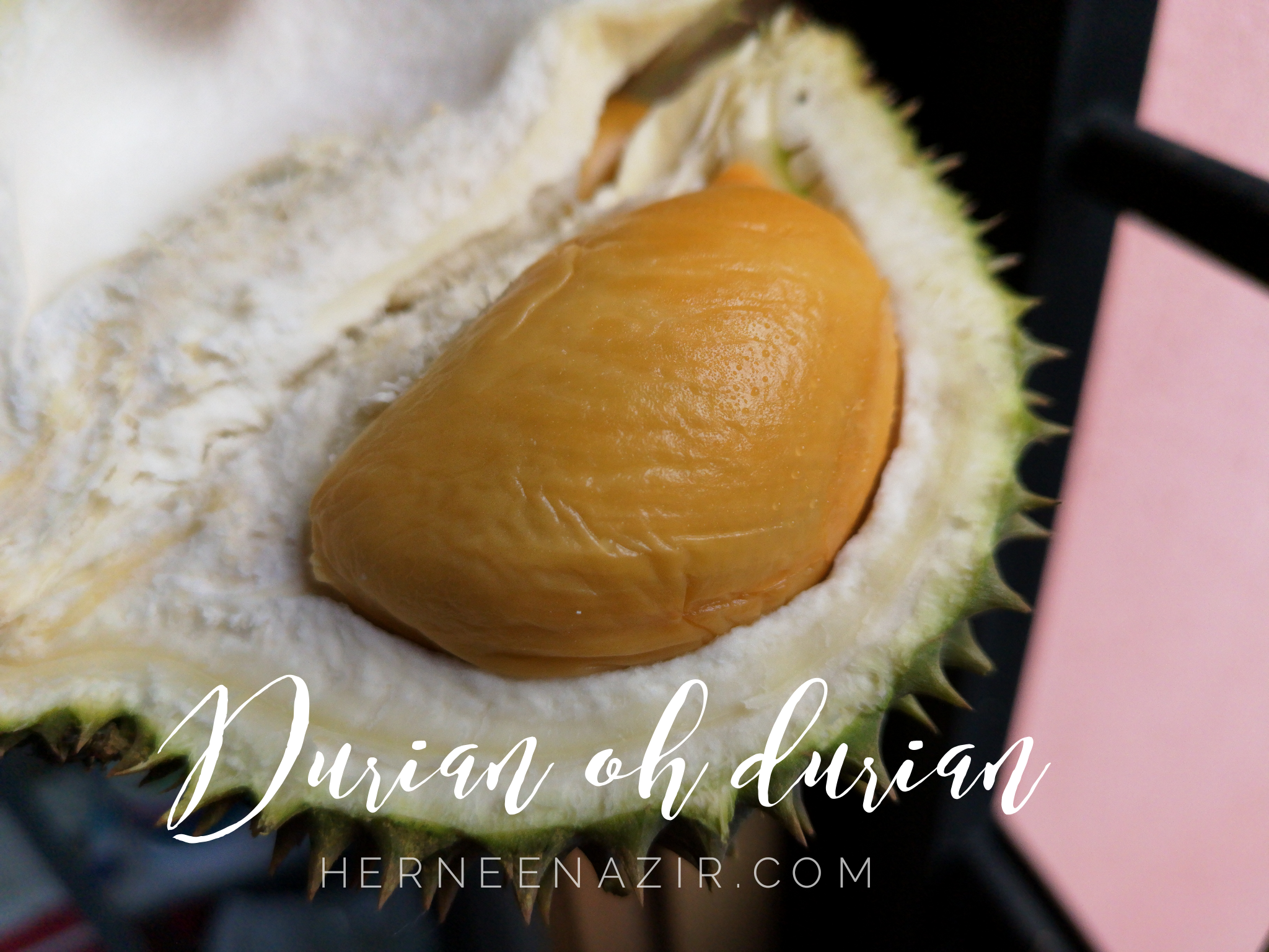 Wordless Wednesday 51 – Durian oh Durian