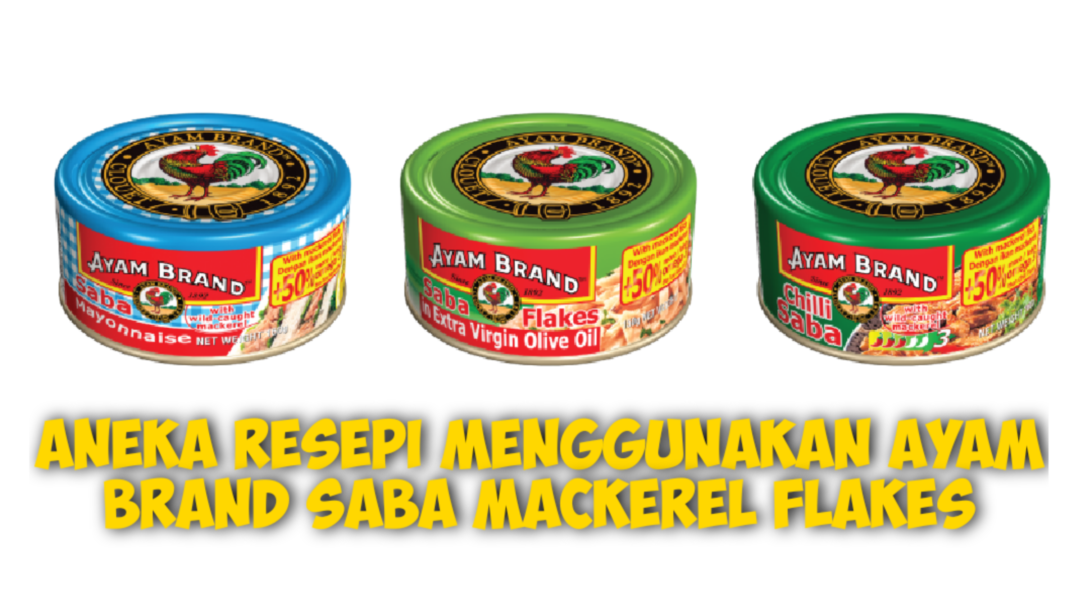 Aneka Resepi Menggunakan Ayam Brand Saba Mackerel Flakes