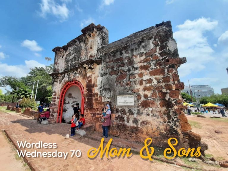 Wordless Wednesday 70 – Mom & Sons