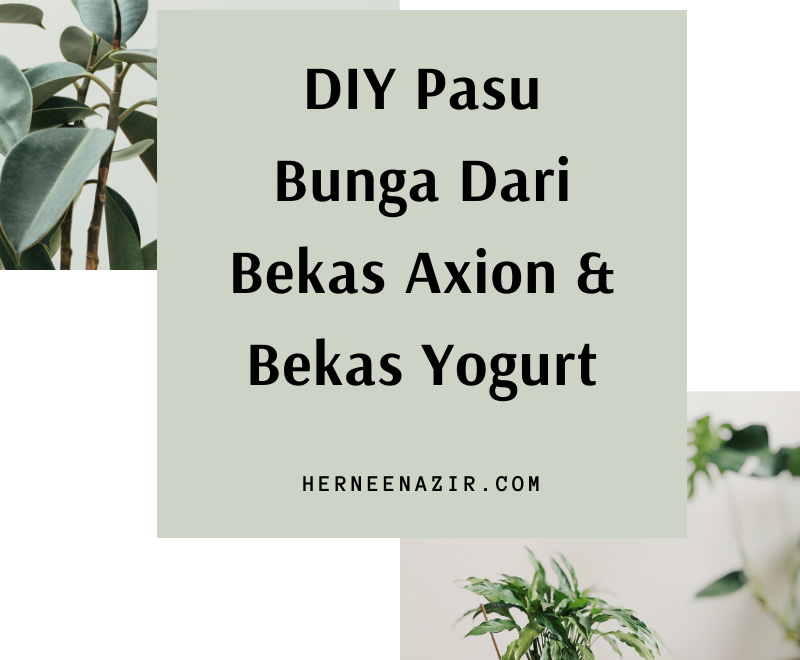 DIY Pasu Bunga Dari Bekas Axion & Bekas Yogurt